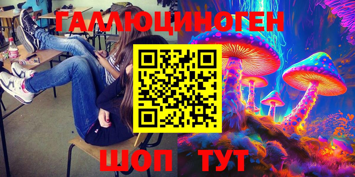 Галлюциногенные грибы Psilocybine cubensis Владивосток