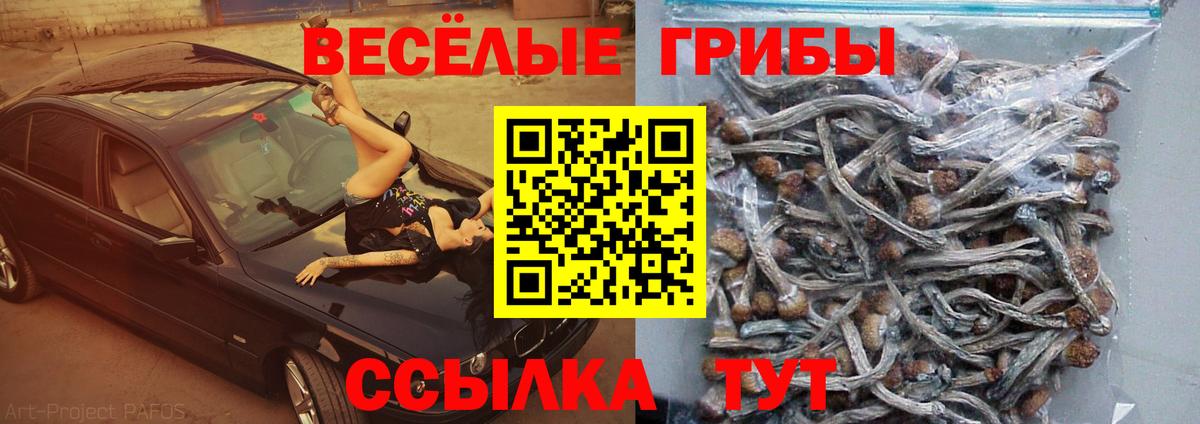 Галлюциногенные грибы MAGIC MUSHROOMS  Владивосток 